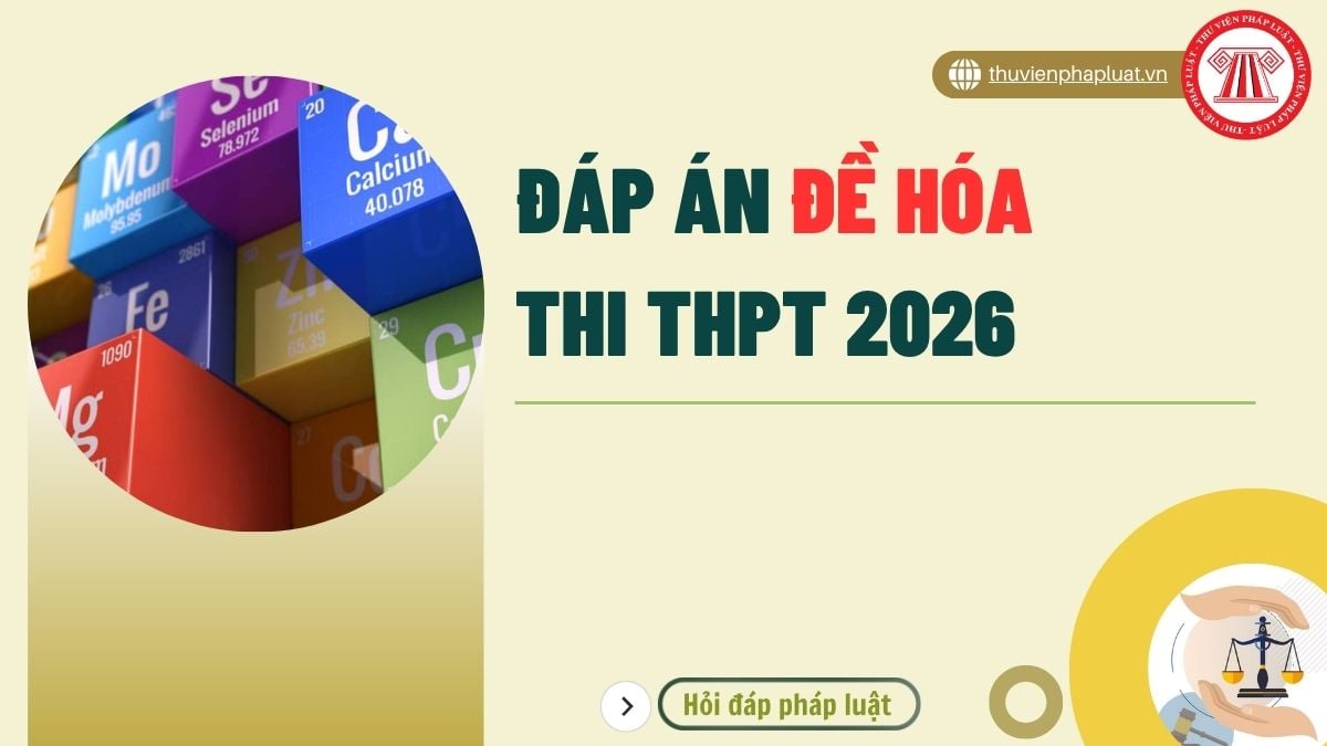 Hỏi đáp Pháp luật