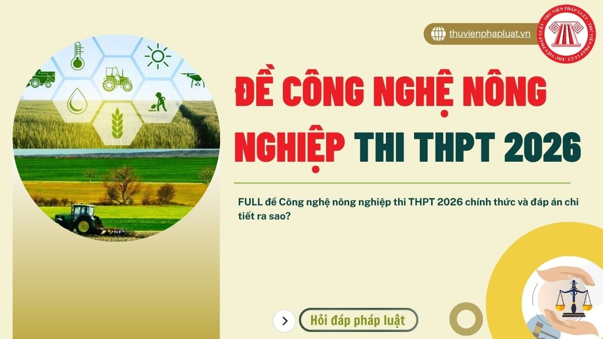 Hỏi đáp Pháp luật