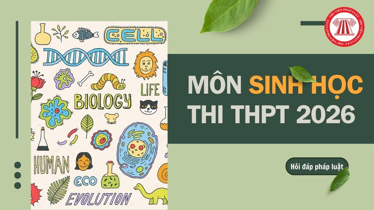 Full đề môn Sinh thi THPT 2026 chính thức mã 23 và đáp án chi tiết thế nào?