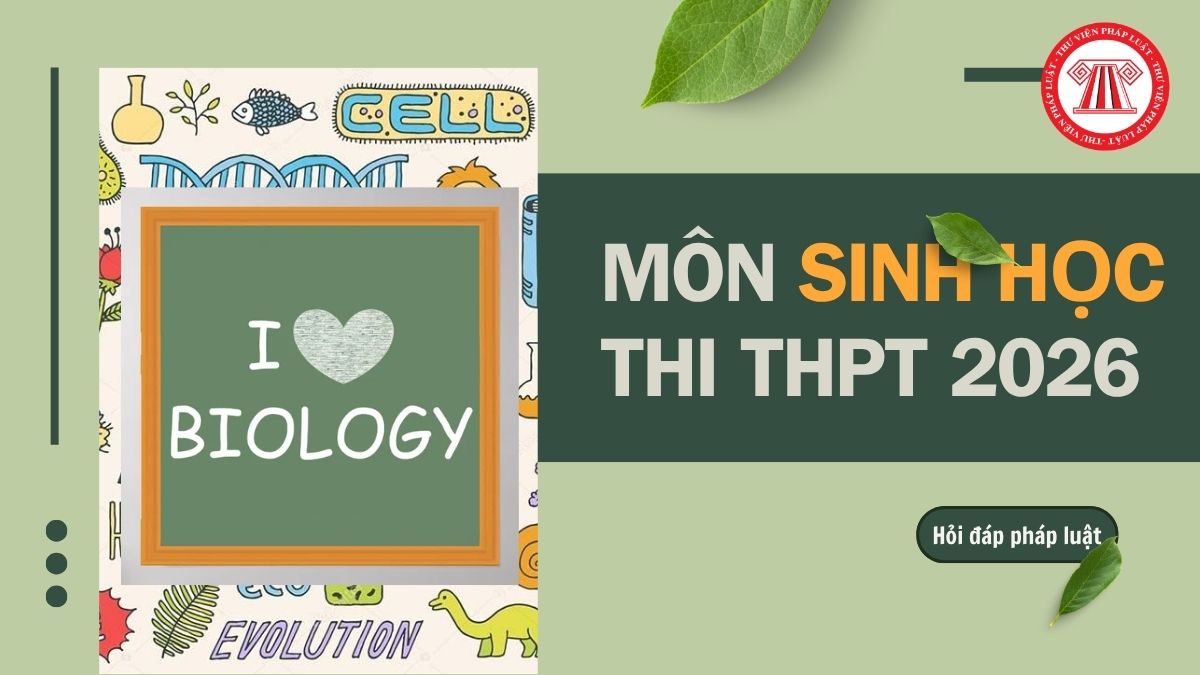 Full đề môn Sinh thi THPT 2026 chính thức mã 26 và đáp án chi tiết thế nào?