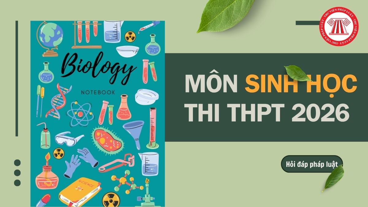 Full đề môn Sinh thi THPT 2026 chính thức mã 33 và đáp án chi tiết thế nào?