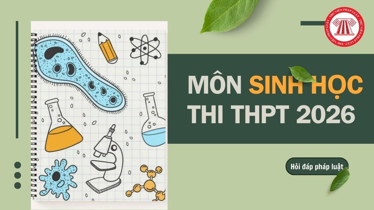Full đề môn Sinh thi THPT 2026 chính thức mã 36 và đáp án chi tiết thế nào?