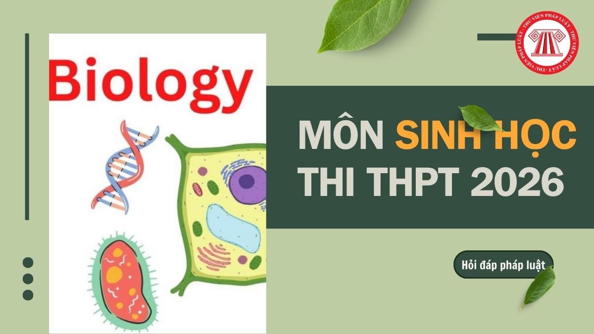 Full đề môn Sinh thi THPT 2026 chính thức mã 36 và đáp án chi tiết thế nào?