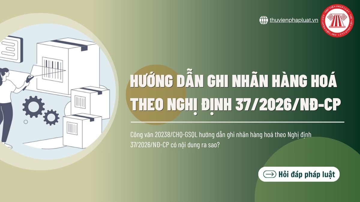 Hỏi đáp Pháp luật
