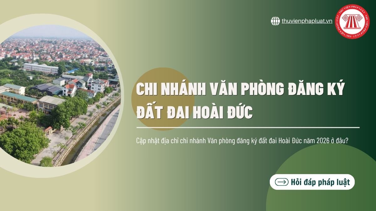 Hỏi đáp Pháp luật