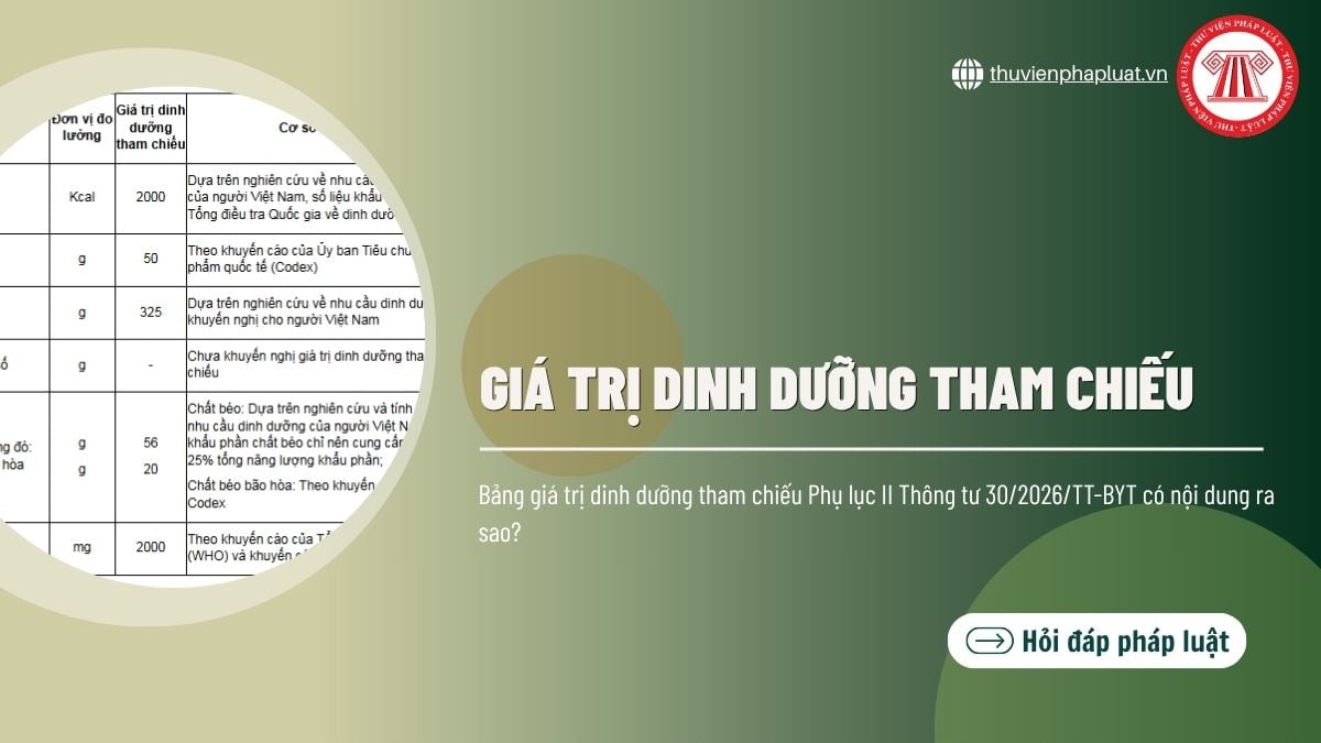 Hỏi đáp Pháp luật