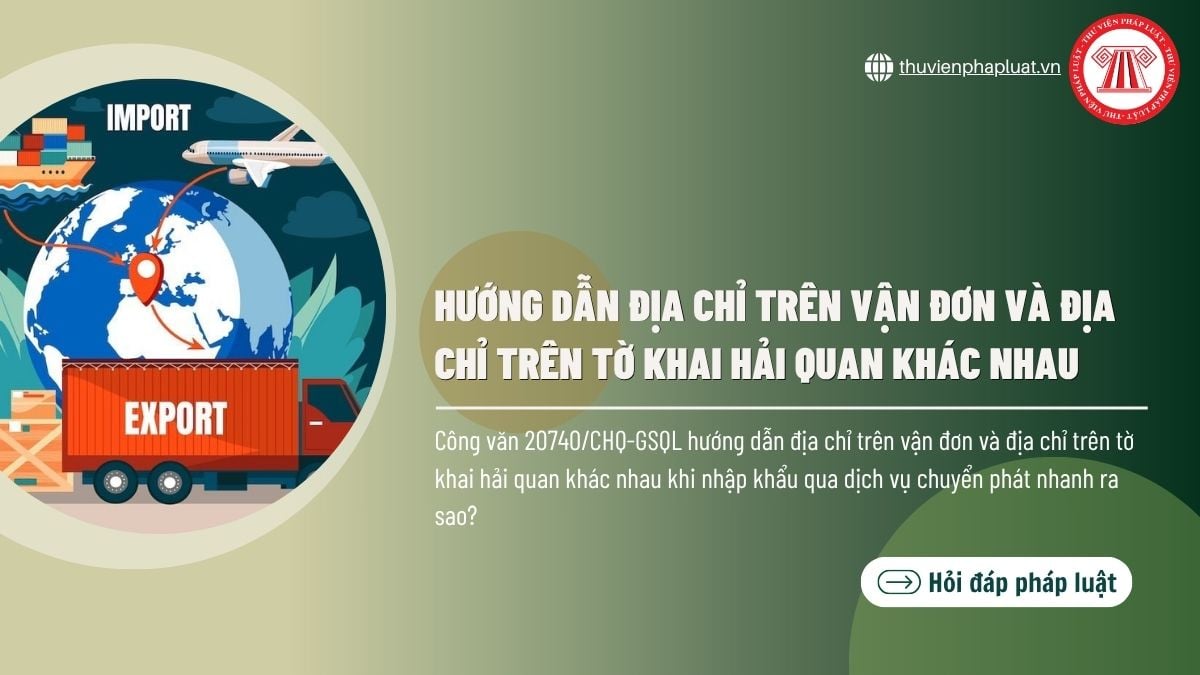 Hỏi đáp Pháp luật