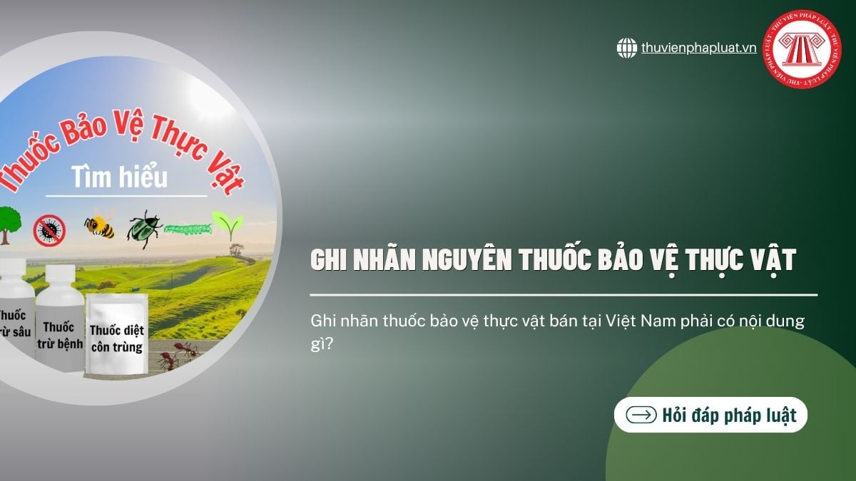 Hỏi đáp Pháp luật