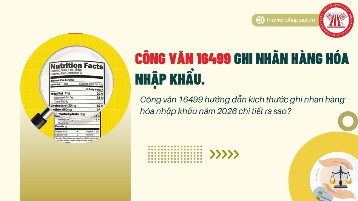 Hỏi đáp Pháp luật