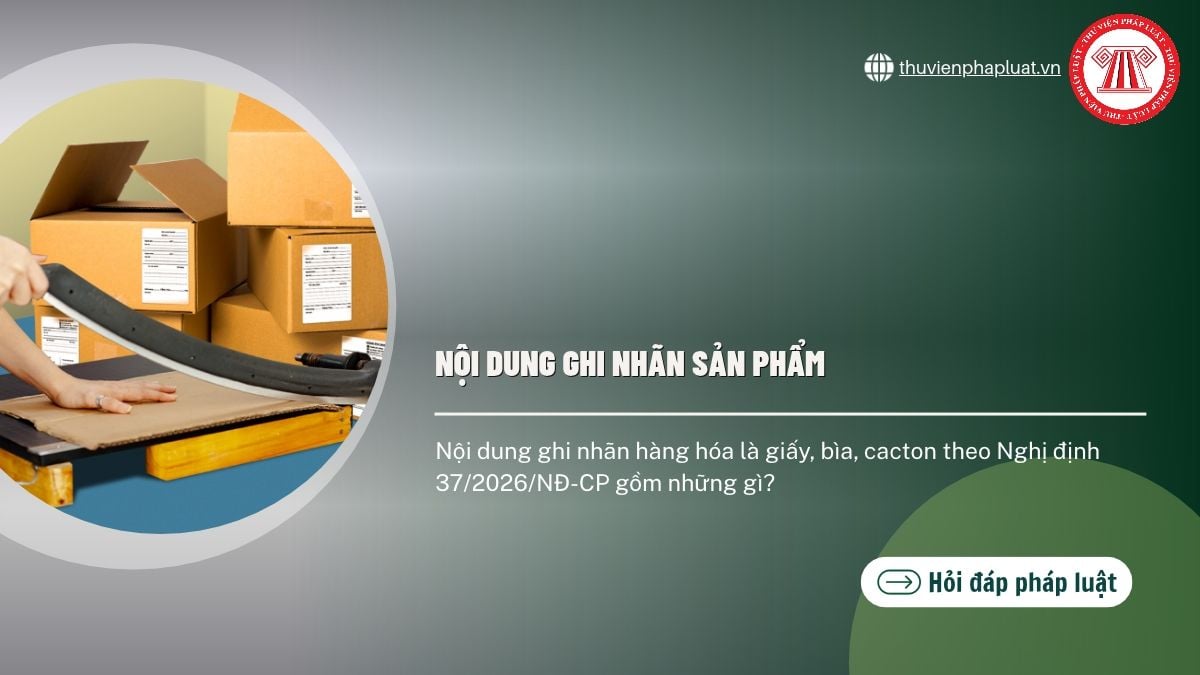 Hỏi đáp Pháp luật