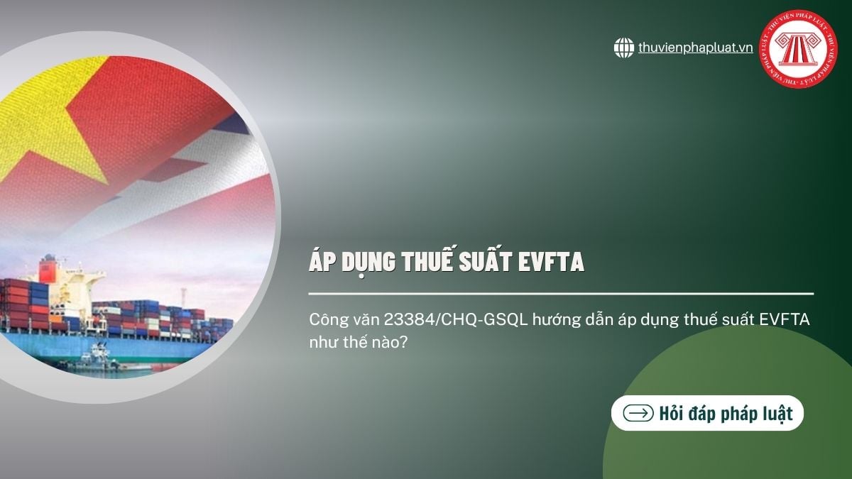 Hỏi đáp Pháp luật