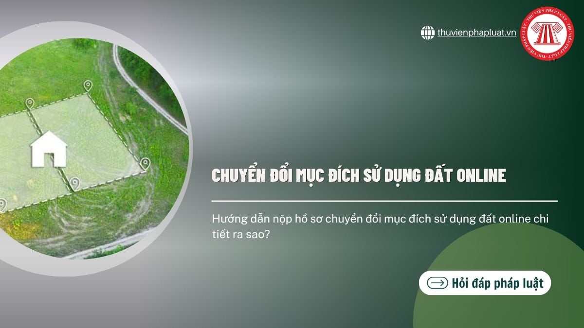 Hỏi đáp Pháp luật