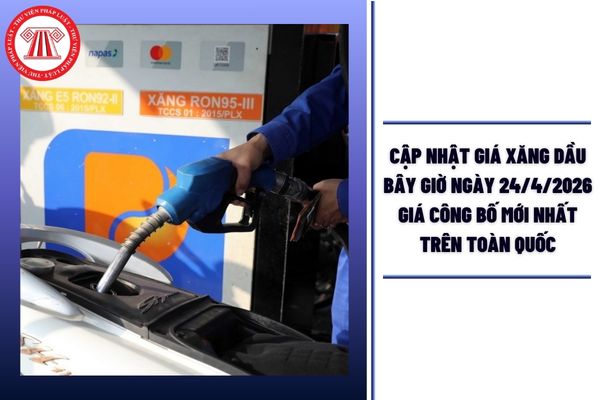 Hỏi đáp Pháp luật
