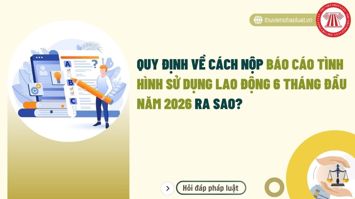 Hỏi đáp Pháp luật