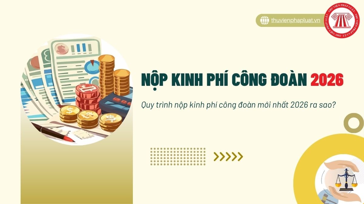 Hỏi đáp Pháp luật