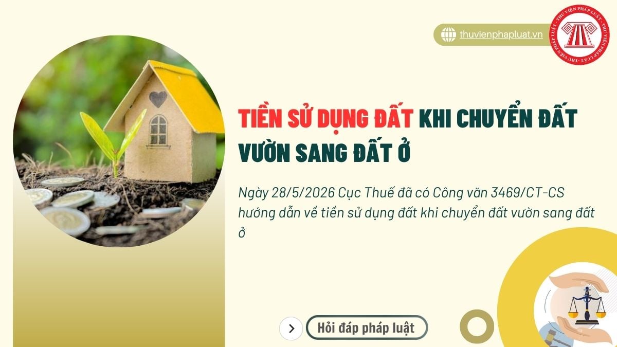 Hỏi đáp Pháp luật