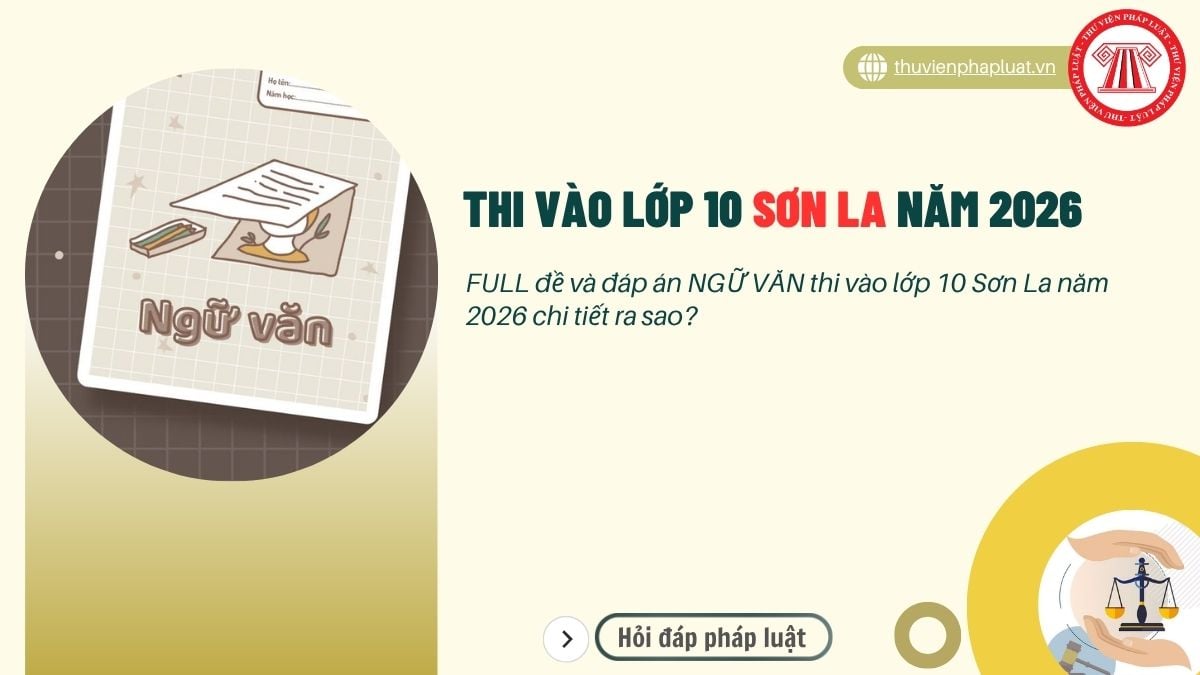 Hỏi đáp Pháp luật