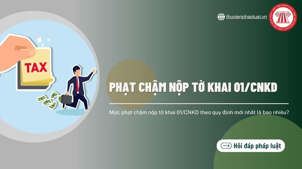 Hỏi đáp Pháp luật