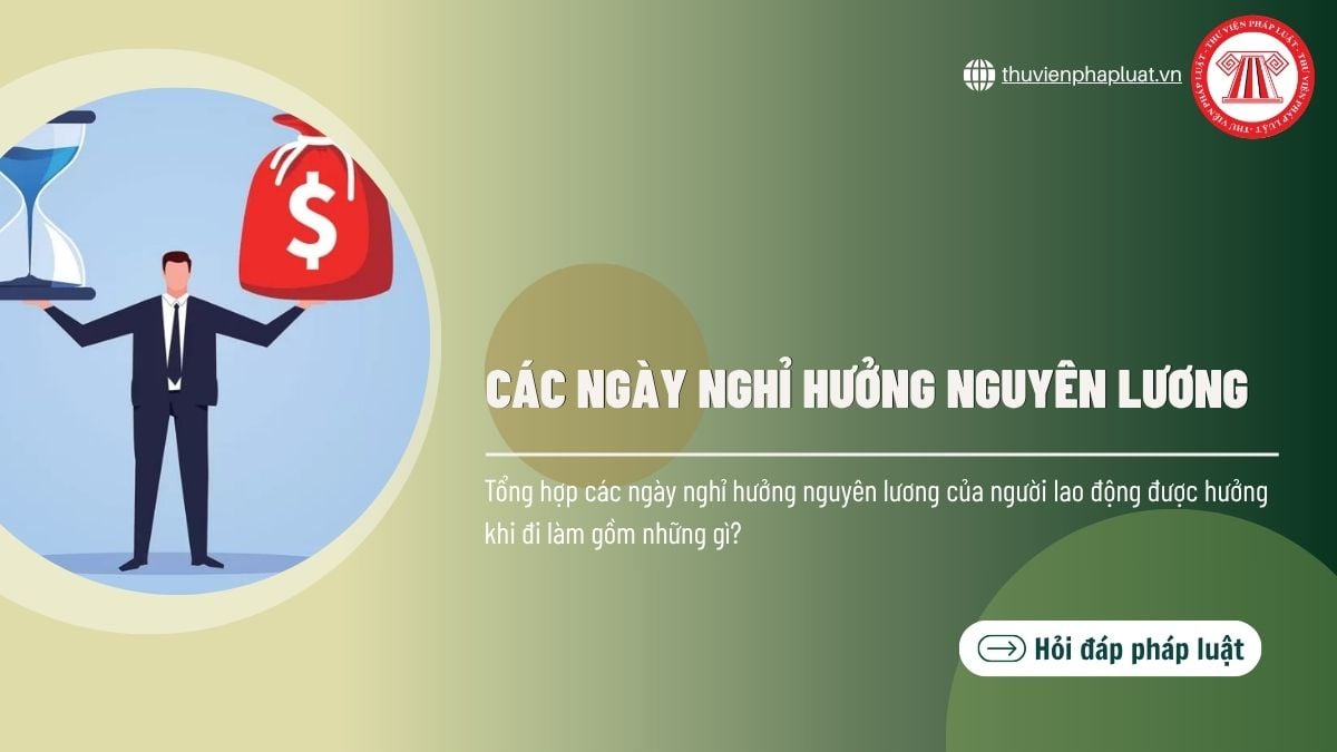 Hỏi đáp Pháp luật