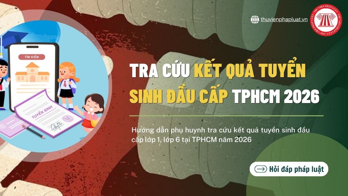 Hướng dẫn tra cứu tuyển sinh đầu cấp TPHCM 2026? Tra cứu và xác nhận nhập học đầu cấp TPHCM ở đâu?
