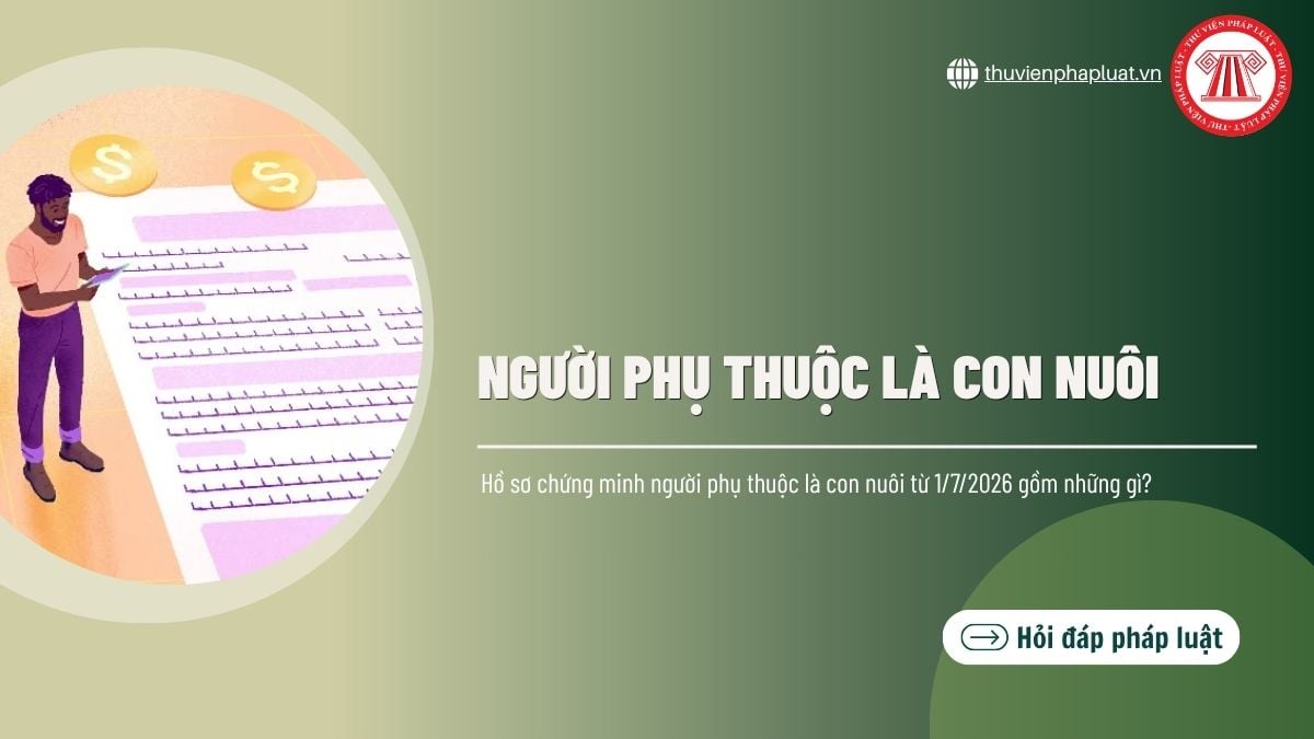 Hỏi đáp Pháp luật
