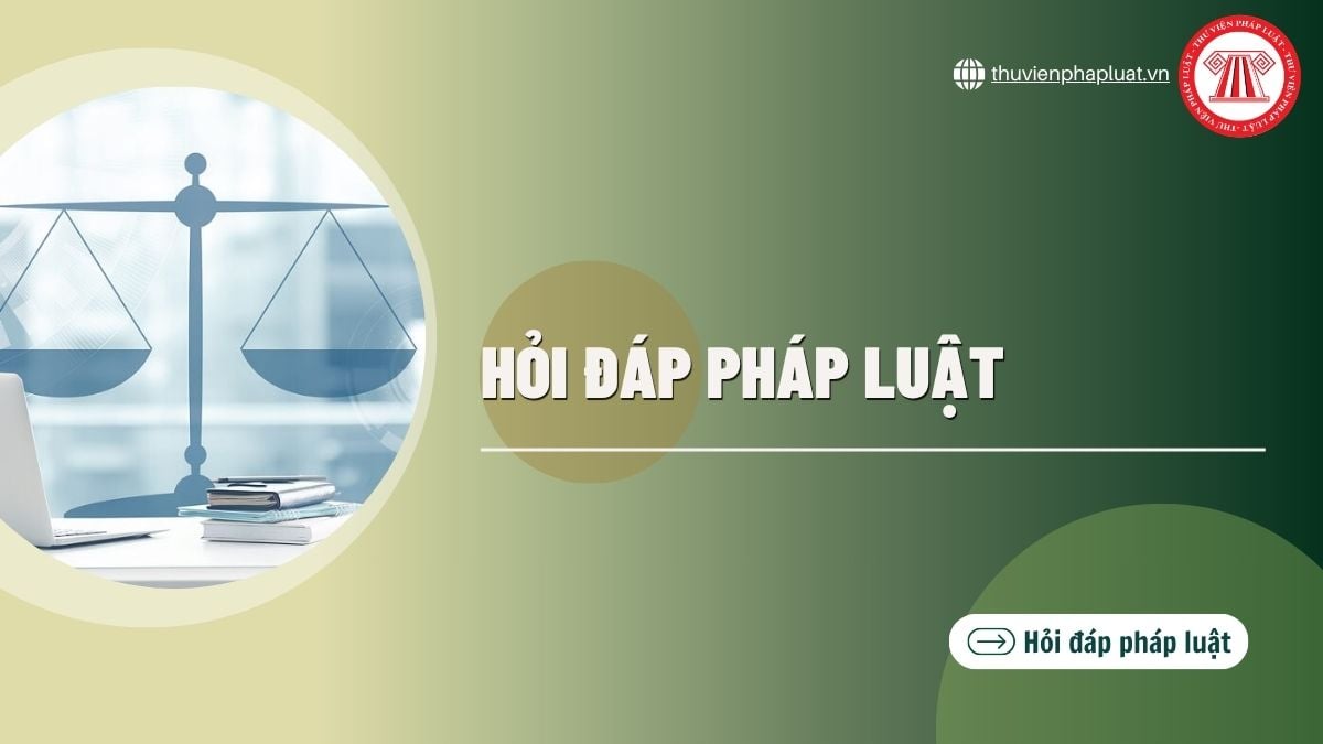 Hỏi đáp Pháp luật