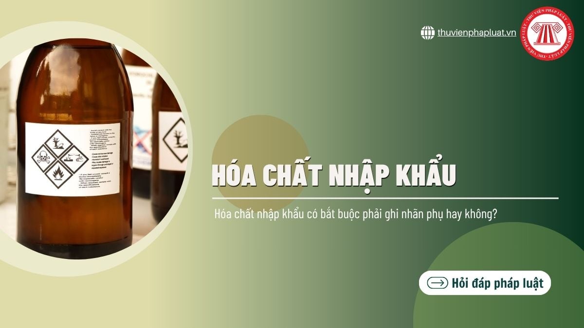 Hỏi đáp Pháp luật