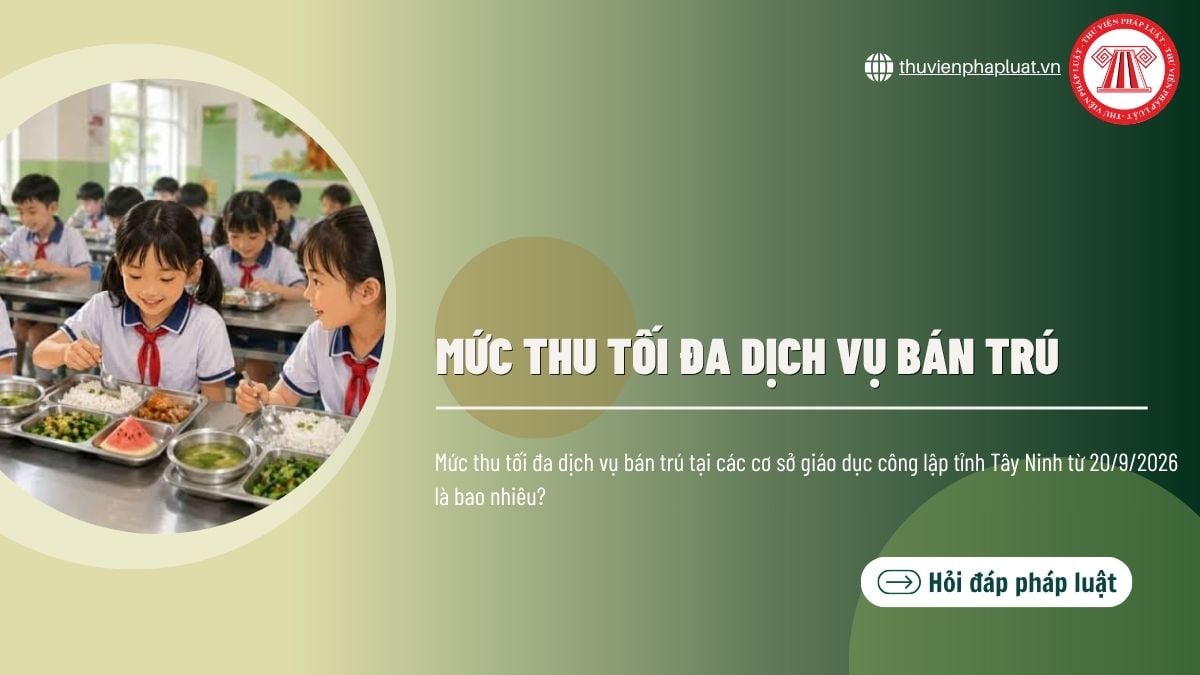 Hỏi đáp Pháp luật