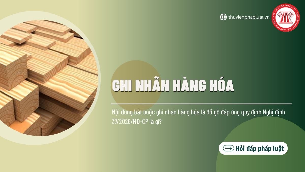Hỏi đáp Pháp luật