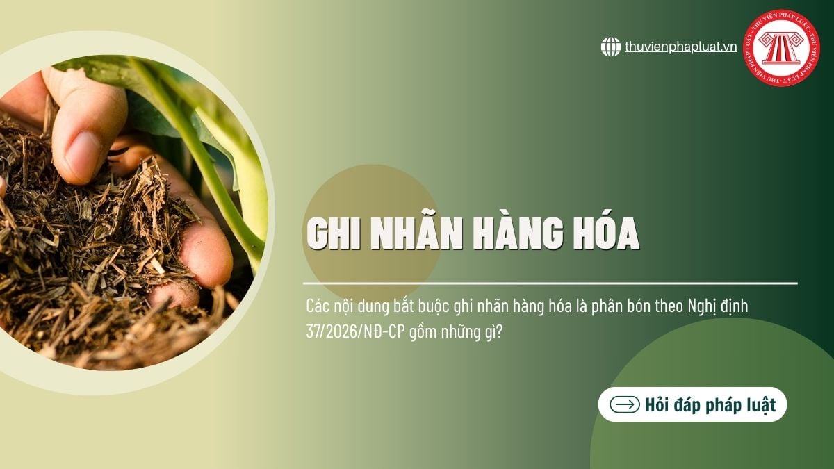 Hỏi đáp Pháp luật