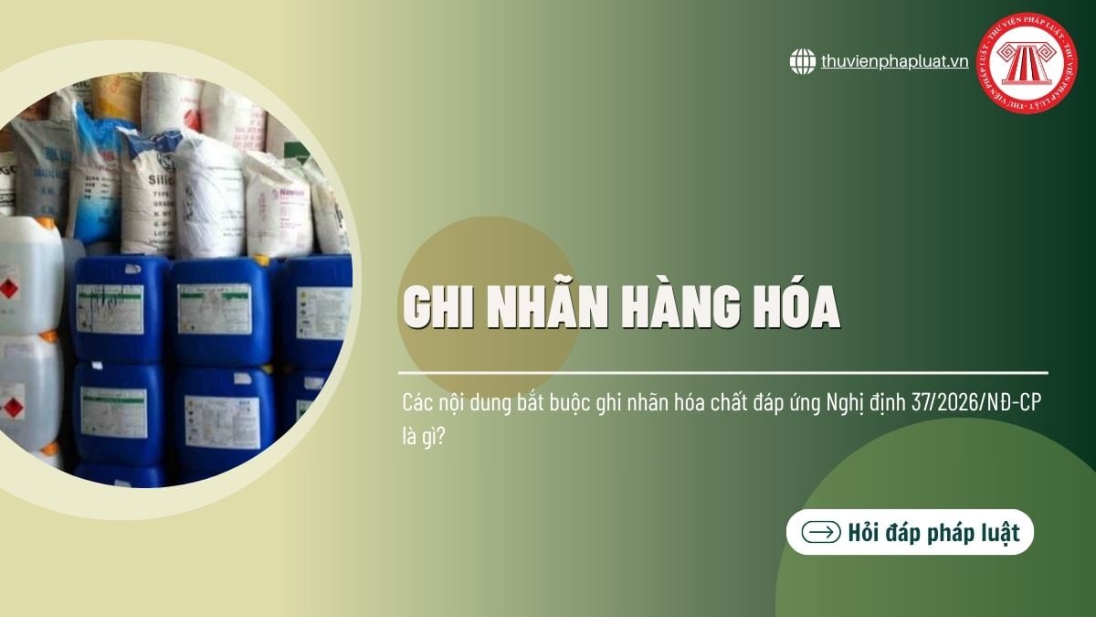 Hỏi đáp Pháp luật