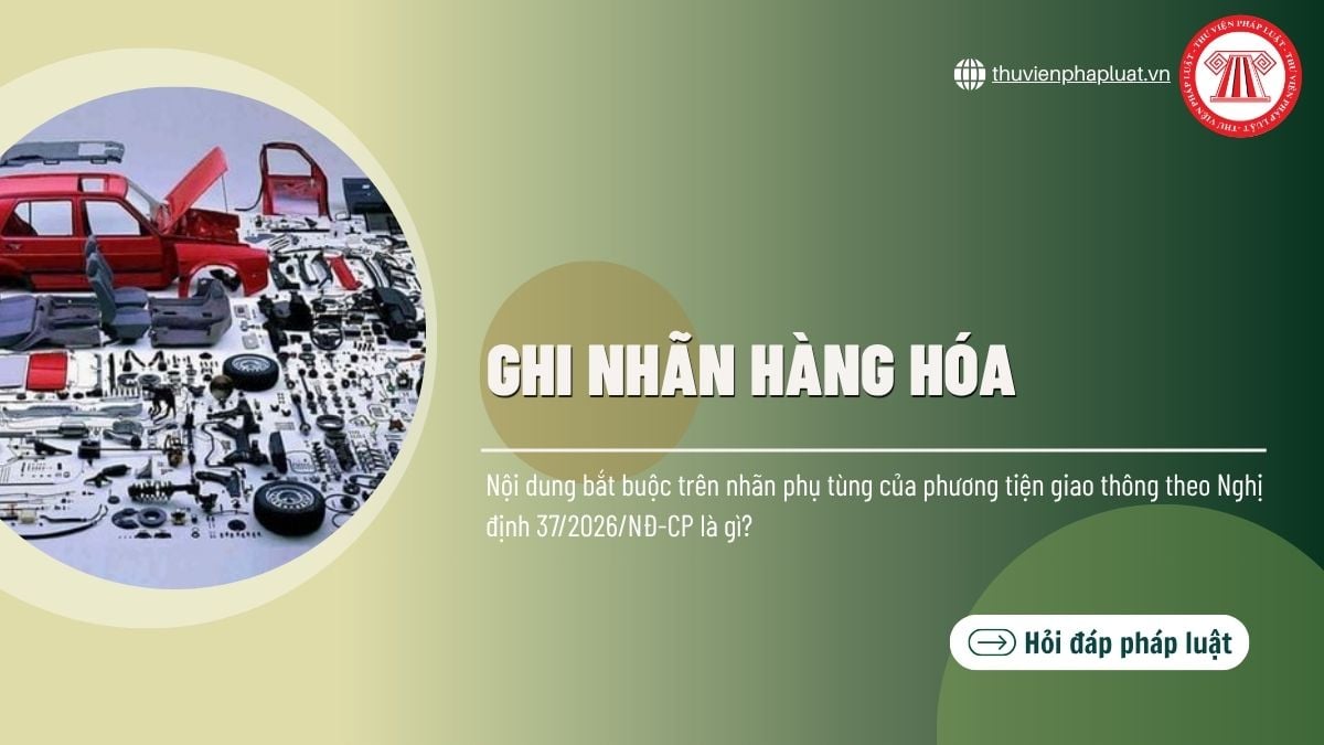 Hỏi đáp Pháp luật