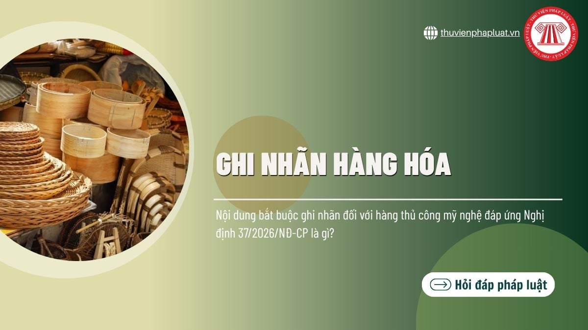 Hỏi đáp Pháp luật