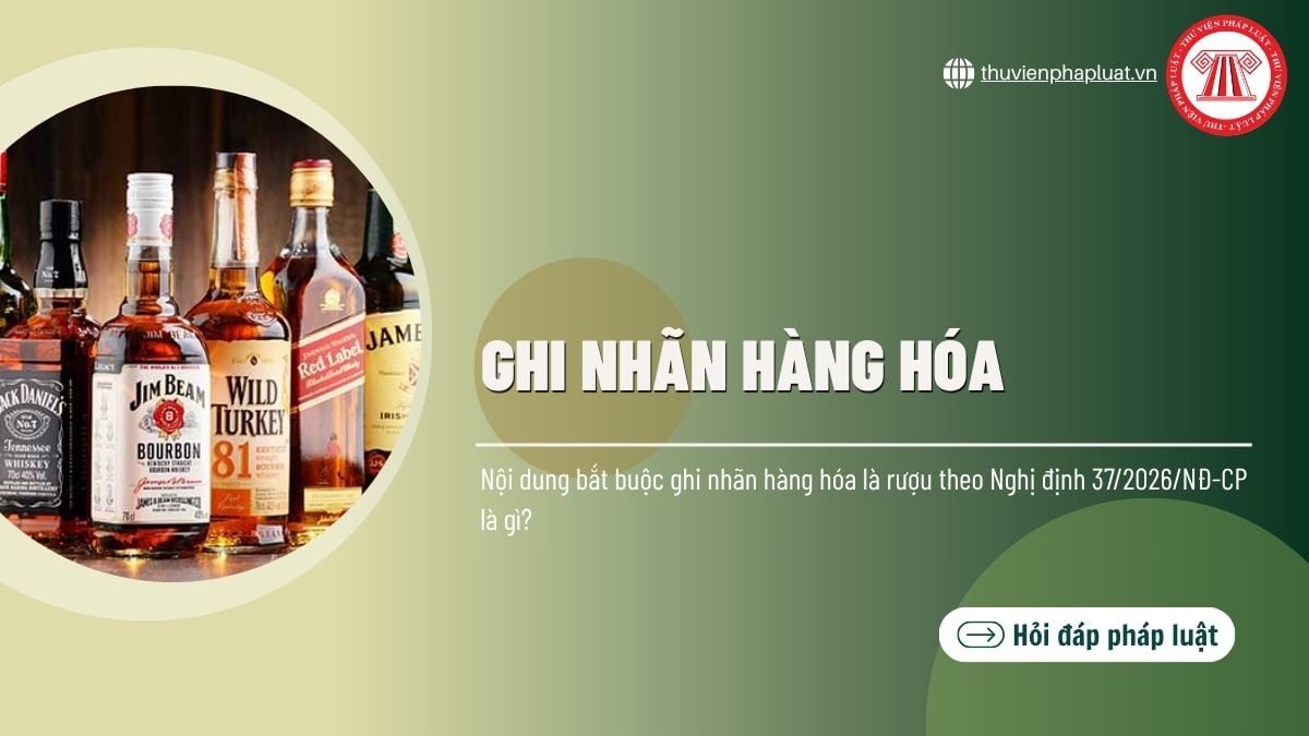 Hỏi đáp Pháp luật
