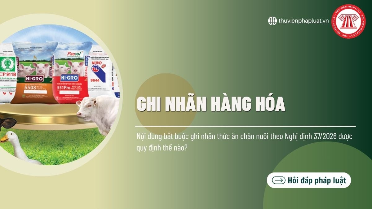 Hỏi đáp Pháp luật