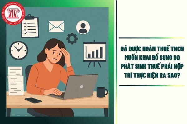 Hỏi đáp Pháp luật