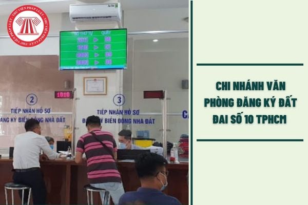 Hỏi đáp Pháp luật