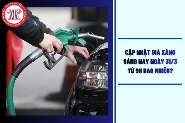 Hỏi đáp Pháp luật