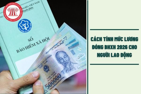 Hỏi đáp Pháp luật