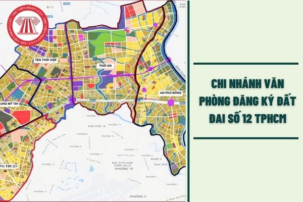 Hỏi đáp Pháp luật