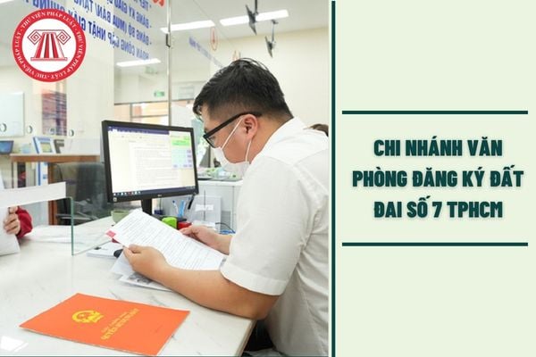Hỏi đáp Pháp luật