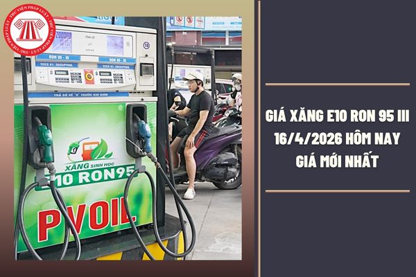 Hỏi đáp Pháp luật