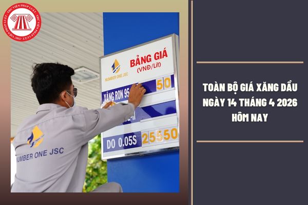 Hỏi đáp Pháp luật