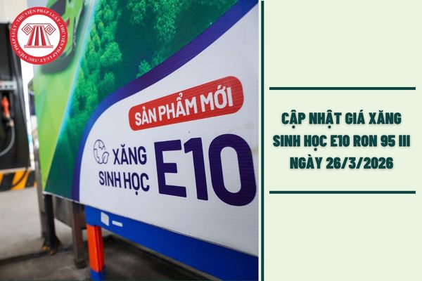 Hỏi đáp Pháp luật