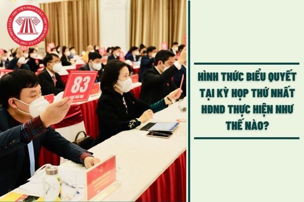 Hình thức biểu quyết tại kỳ họp thứ nhất HĐND thực hiện như thế nào?