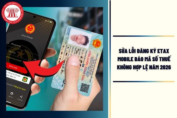 Hỏi đáp Pháp luật