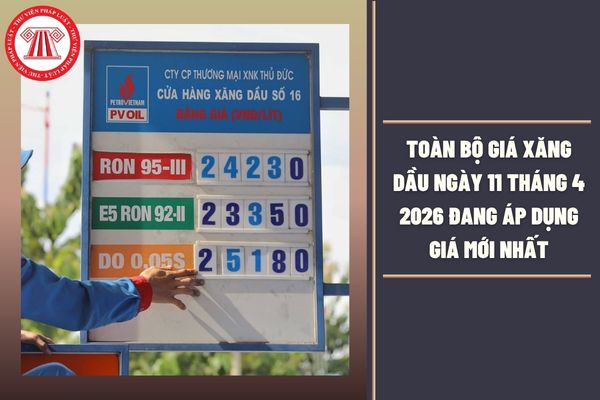 Hỏi đáp Pháp luật