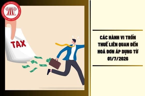 Hỏi đáp Pháp luật