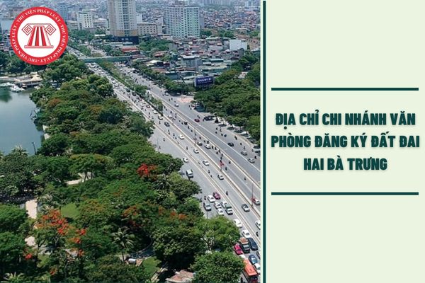 Hỏi đáp Pháp luật