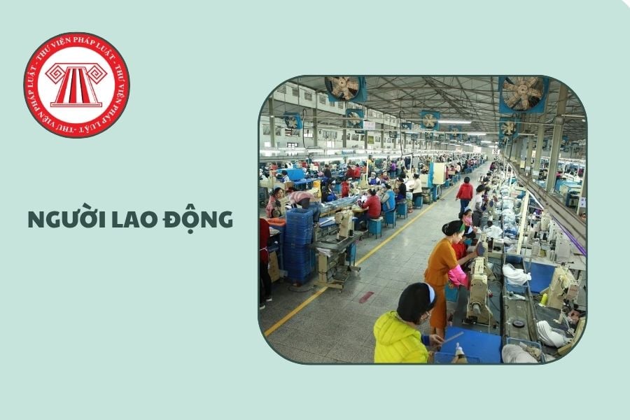 Hỏi đáp Pháp luật